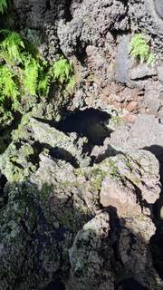 Grotta Tsunami